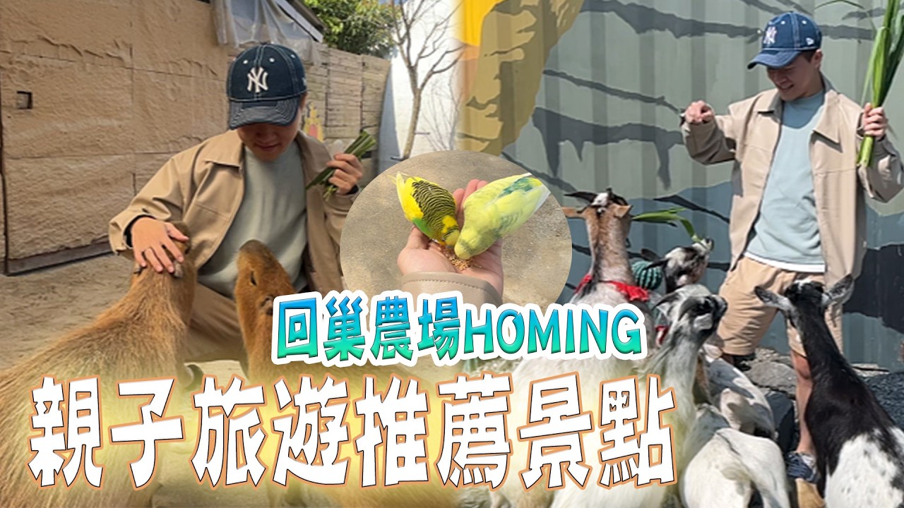 【旅遊推薦】親子旅遊要去哪裡 回巢農場Homing 大人小孩都適合 超多動物可以互動👍 #回巢農場 #親子旅遊 #推薦 #動物 #旅遊 #行程 #景點 #農場 #親子 #宜蘭 #宜蘭景點