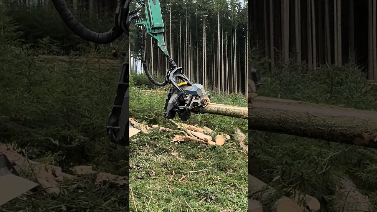 Unglaublich! Diese Maschine zerlegt 50 cm Baumst&auml;mme wie Zahnstocher 😳🌲