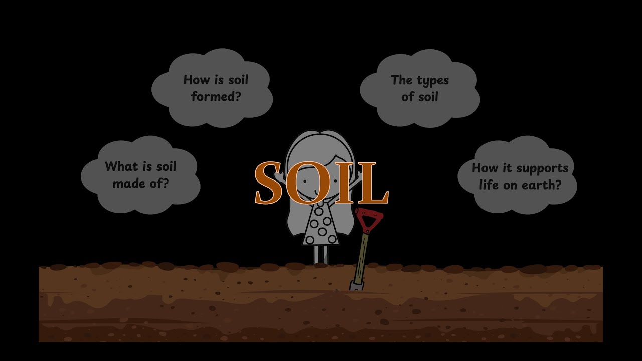 Soil | Nature's Treasures | Grade 6 | Science | Khan Academy