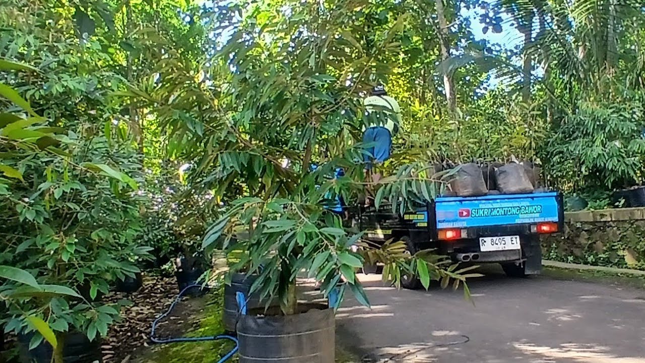 RUTE SRAGEN MAEGETAN 081328018166