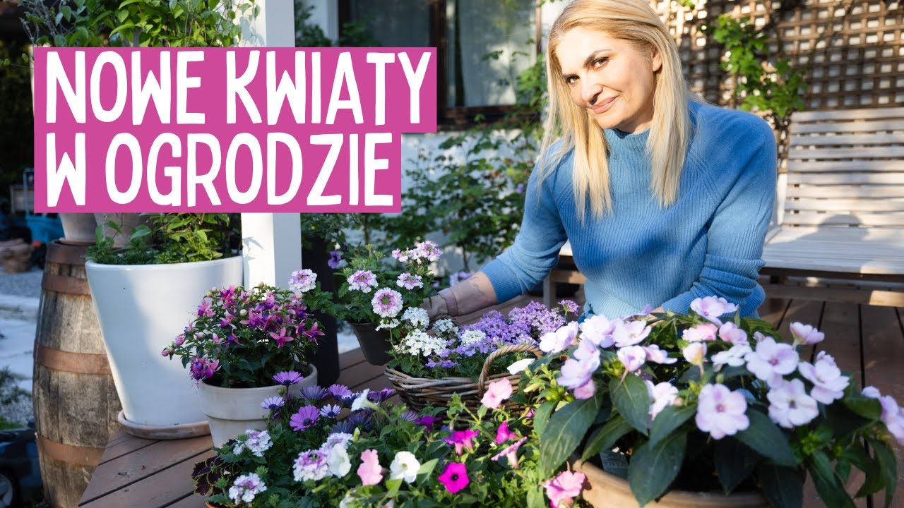 Odkryj 10 Wyjątkowych Roślin Jednorocznych na Sezon 2024! Inspiracje na Rabaty i Pojemniki