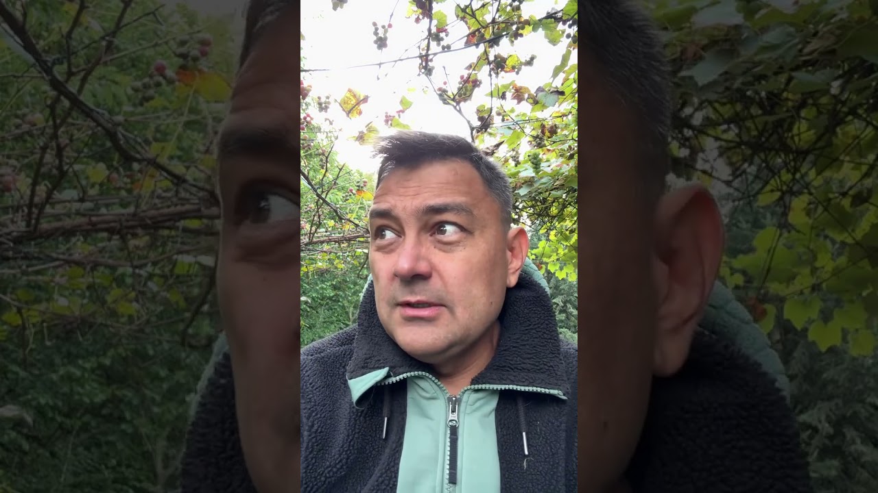 Оригинальный отзыв об обучении в нашей Академии целительства от Андрея (Рэйки и астрология)