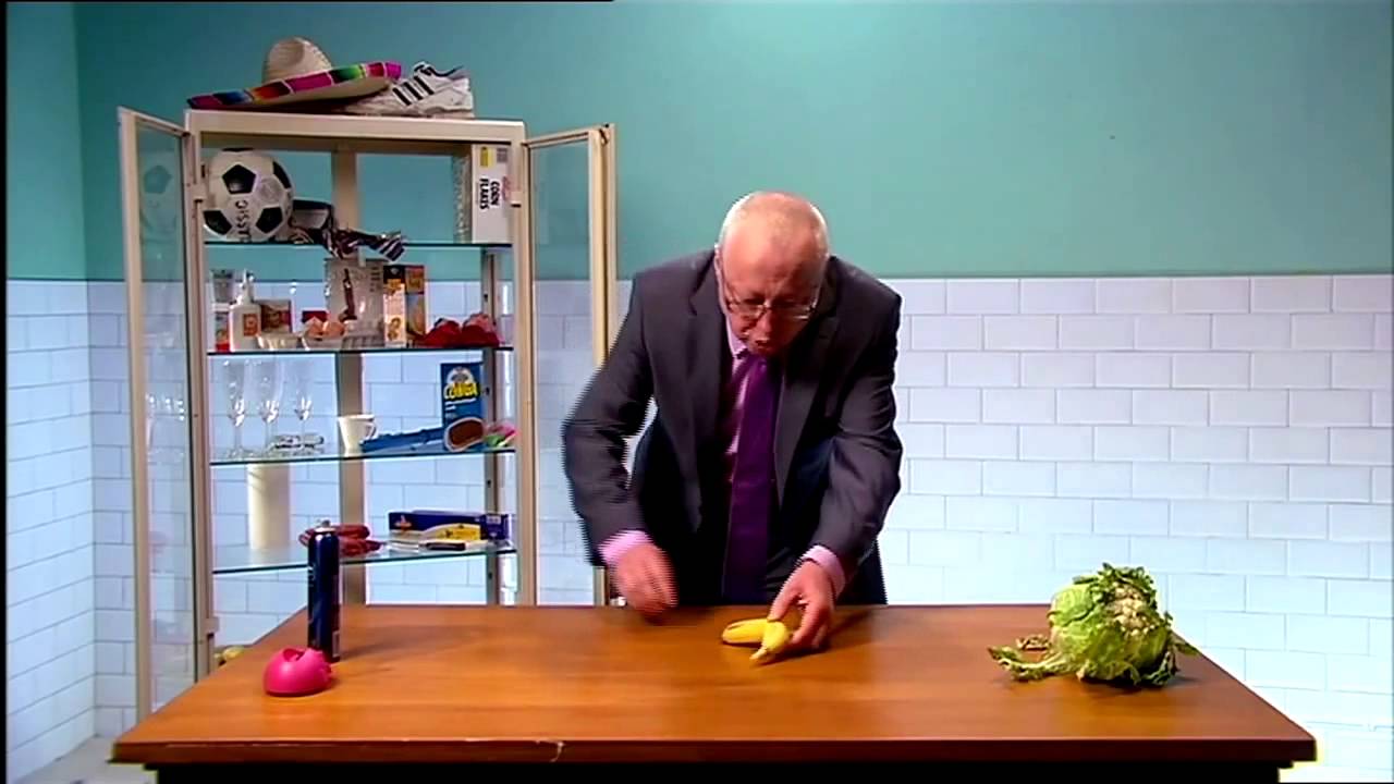 HUB prof bijt hond naturalisme