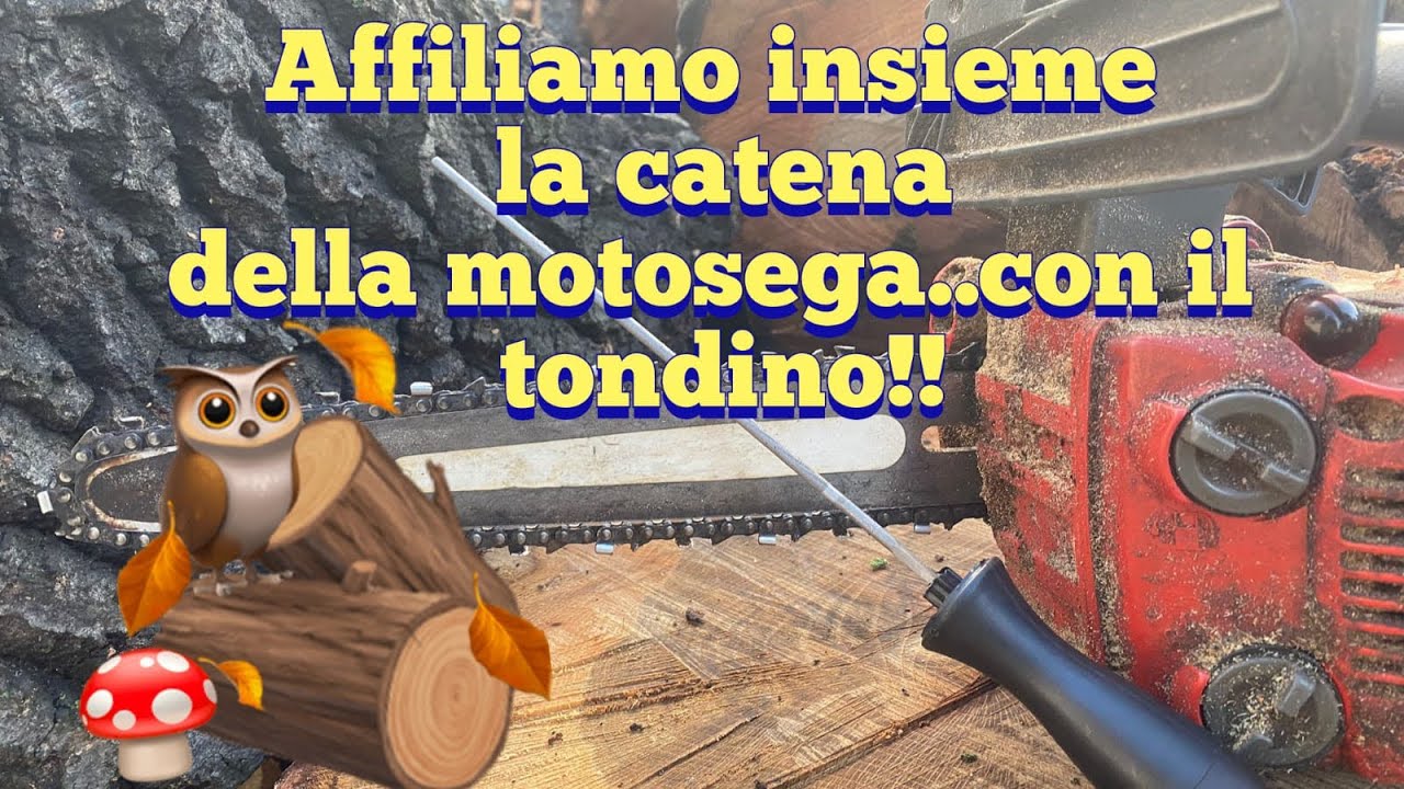 Affiliamo insieme la catena della motosega con un semplice tondino&hellip;