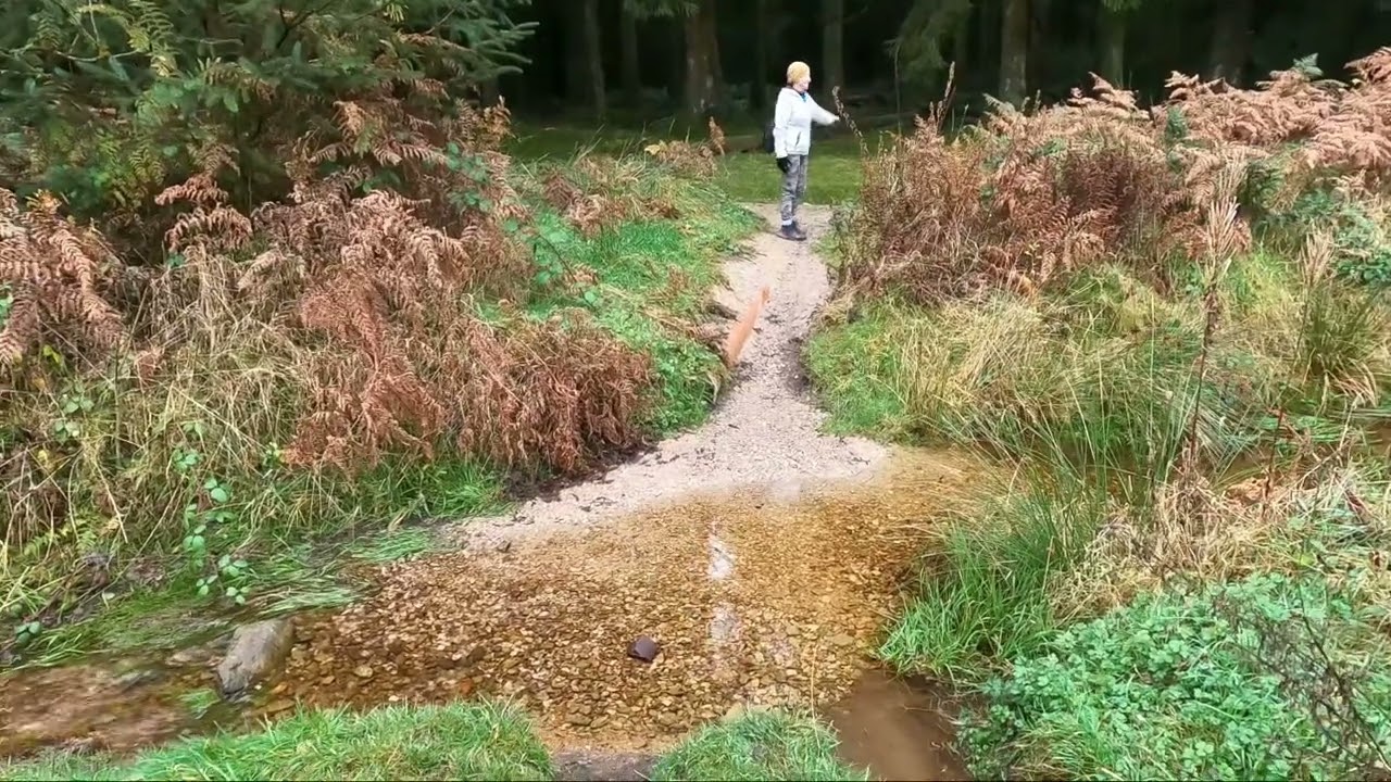 Llandegla Forest Walk, Wrexham