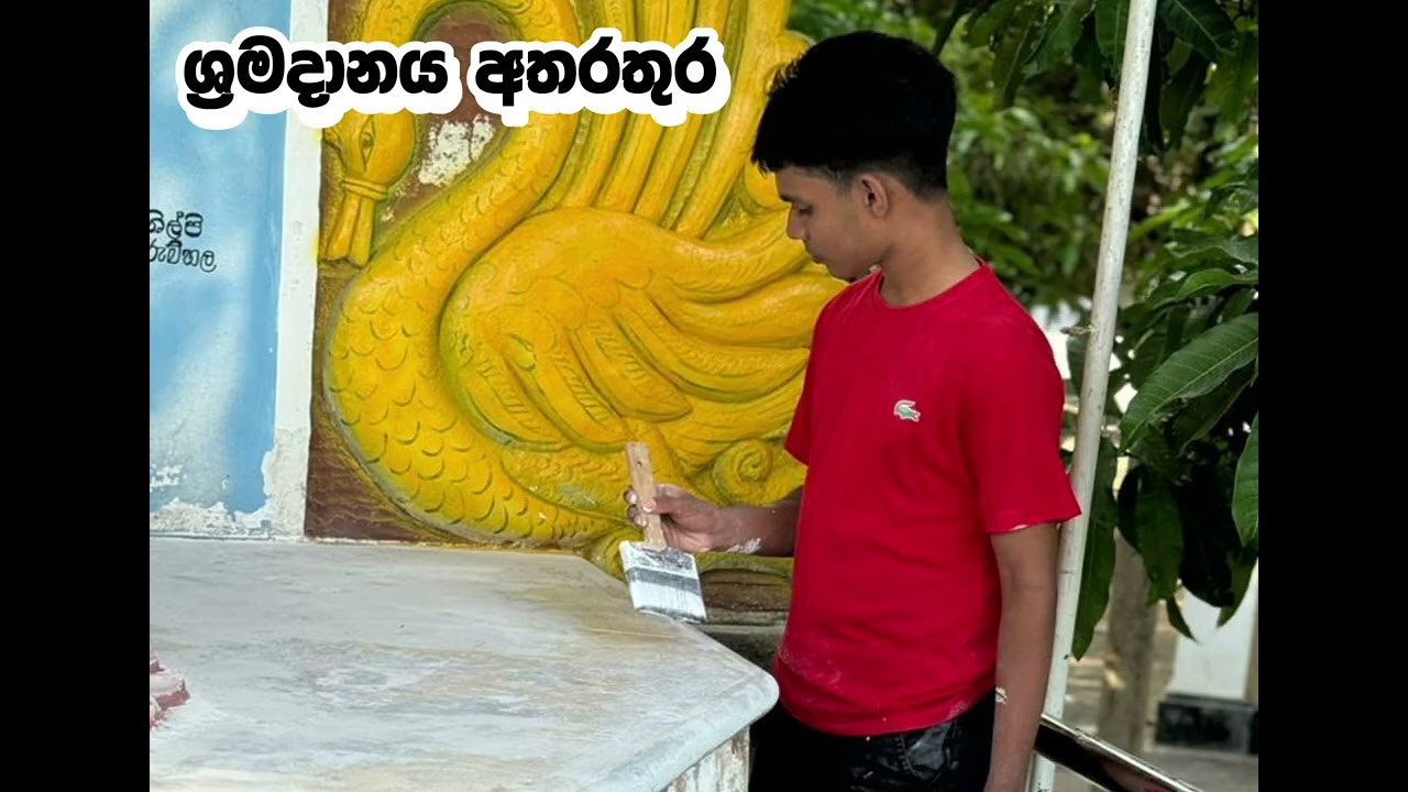 clean srilanka 