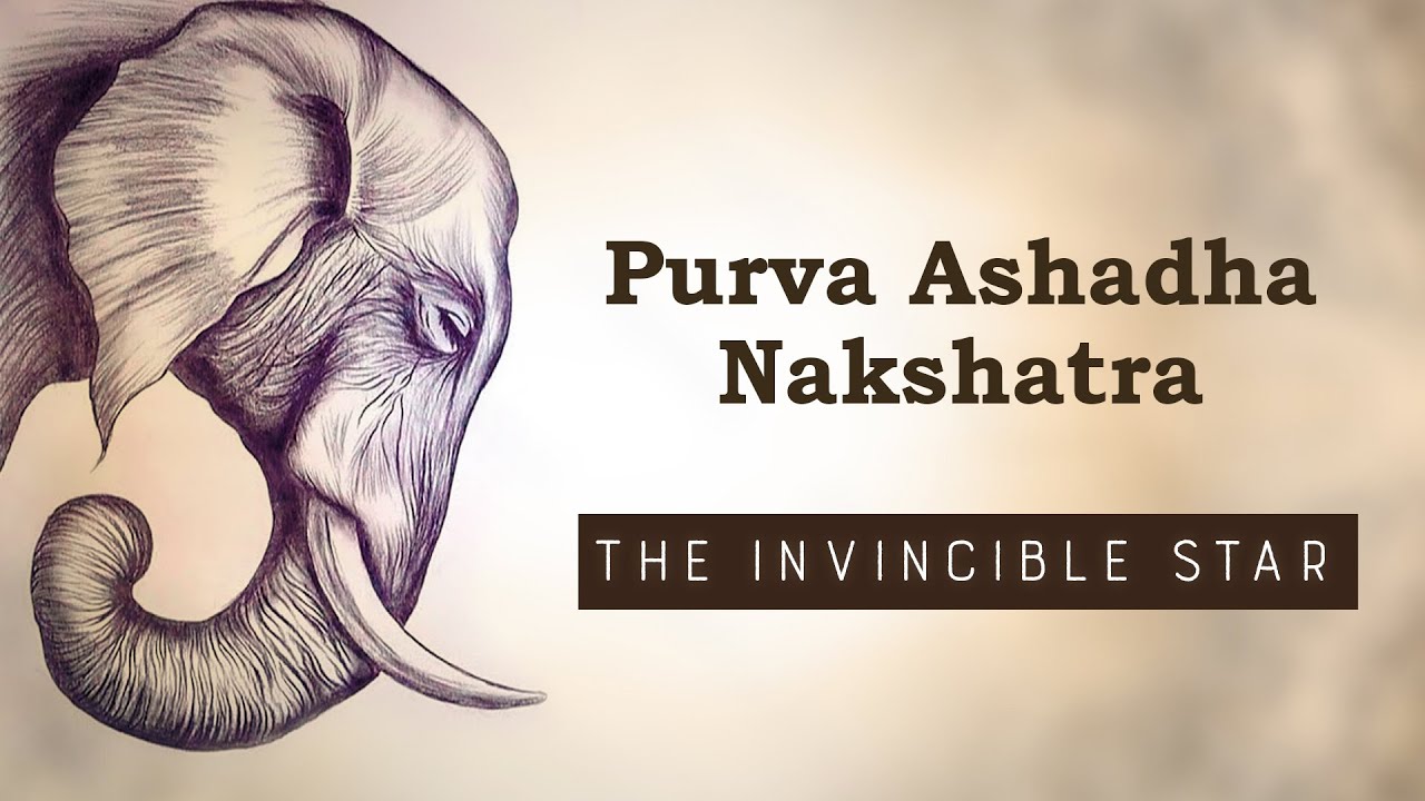 The Hidden Power Behind Sagittarius Revealed! | Purva Ashadha Nakshatra