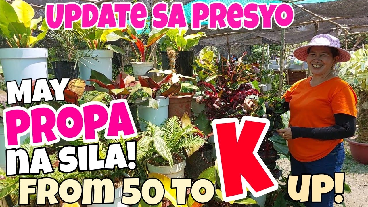 May Propa na sa Mercy's Garden !Daming Maganda #plants #garden #houseplants #propagation