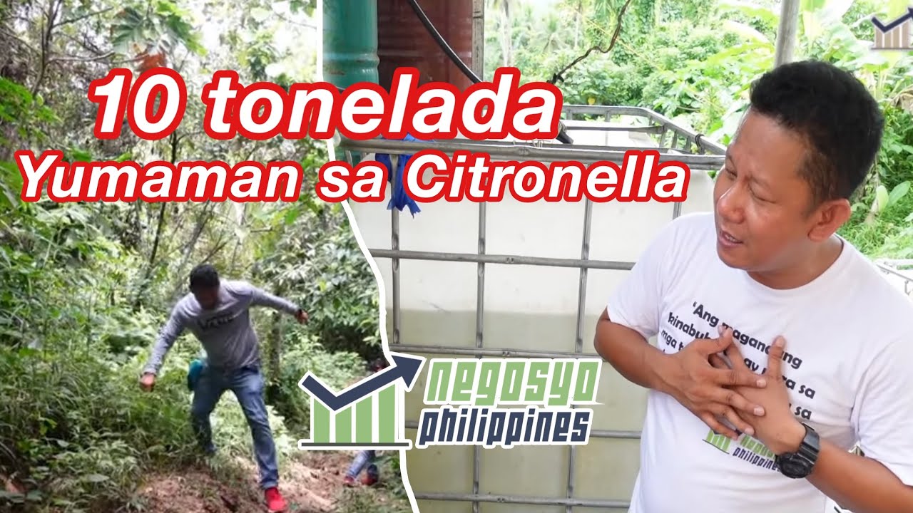 PINAKA MALAKING CITRONELLA DISTILLERY SA PILIPINAS (UMAKYAT KAMI NG BUNDOK) | Negosyo Philippines