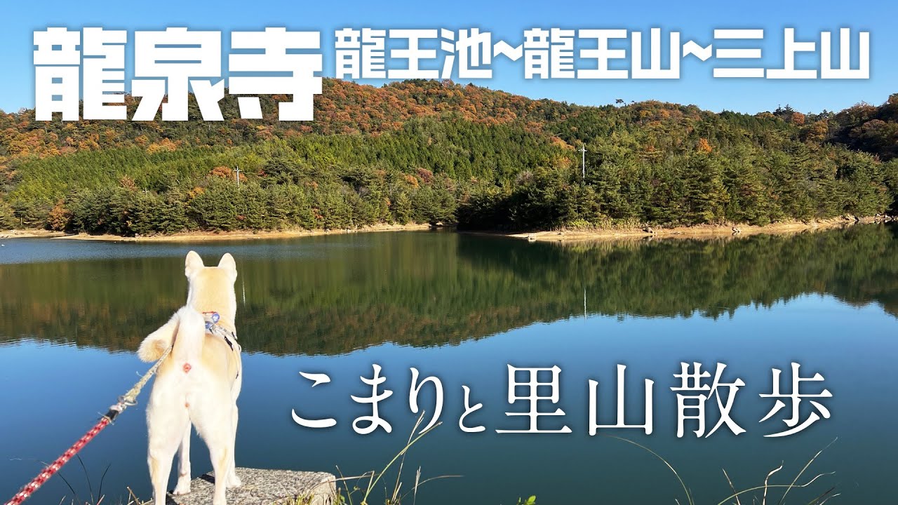 【愛犬と散歩】龍泉寺〜龍王池〜龍王山〜三上山