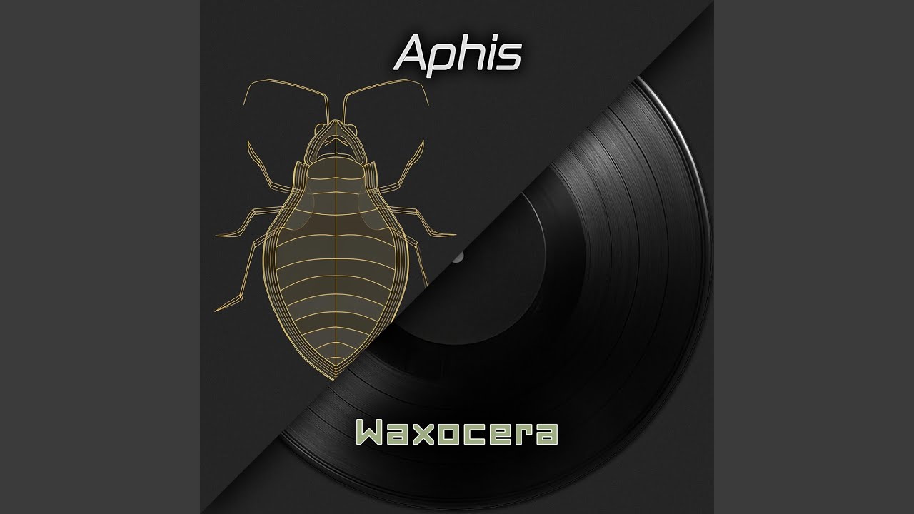 Aphis (Plant Lice)