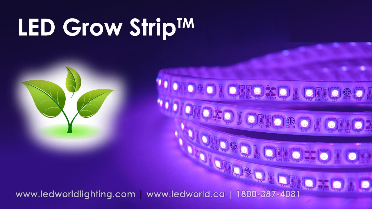 LED Grow Strip™ for Plant production