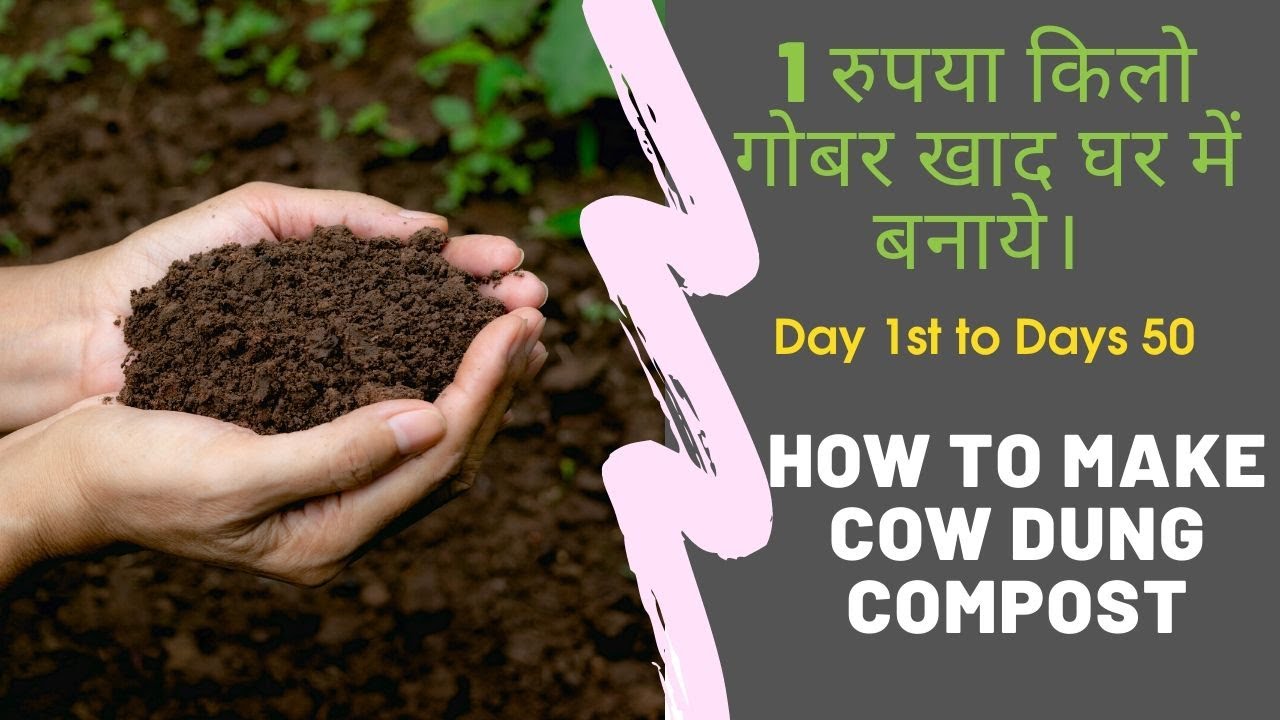 1 रुपया किलो गोबर खाद घर में बनाये। How to Make Cow Dung Compost