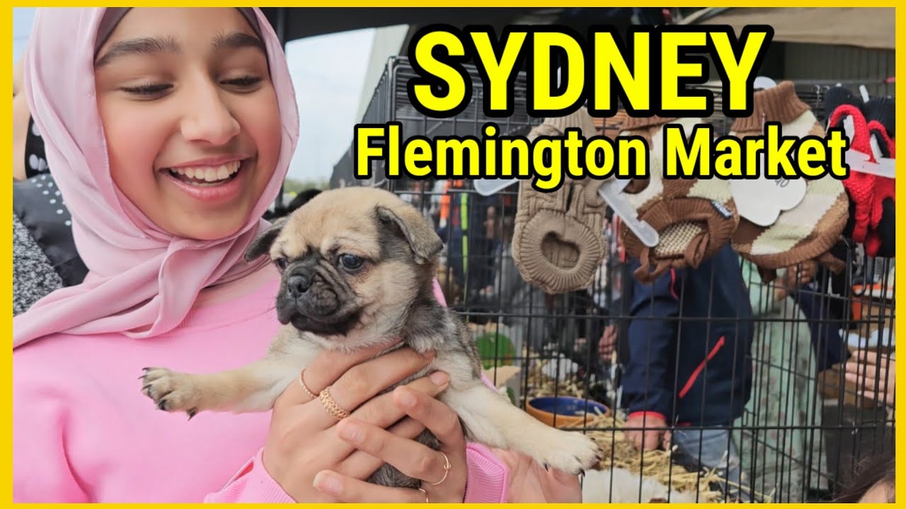 Sydney Walk Flamington market🇦🇺 Weekend Masti🇵🇰Pakistani family vlog