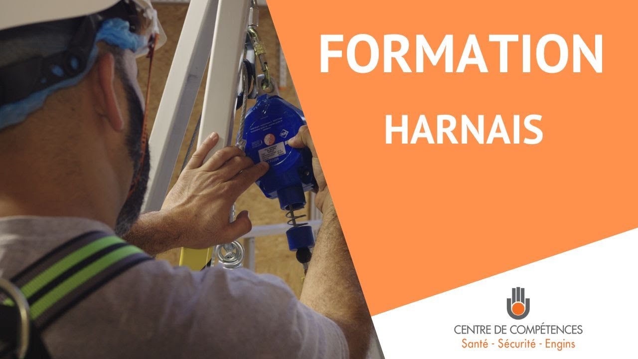 Formation Harnais