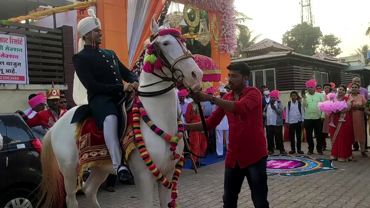 Satara | लग्नातील घोडा डान्स | महाराष्ट्र केसरी सुरज काटेच्या पिंट्याचा राडा | Suraj Kate 9881964938