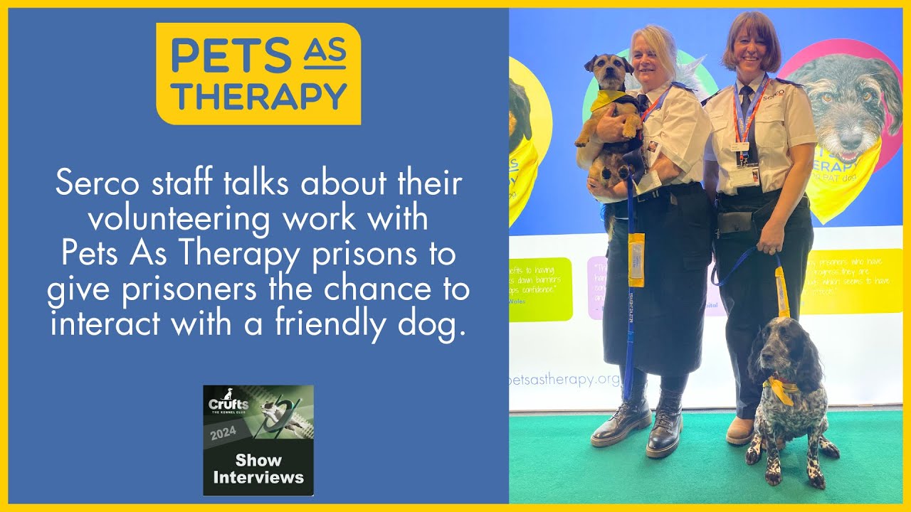 Pets As Therapy work in 35 UK prisons allowing friendly dogs to interact with the prisoners