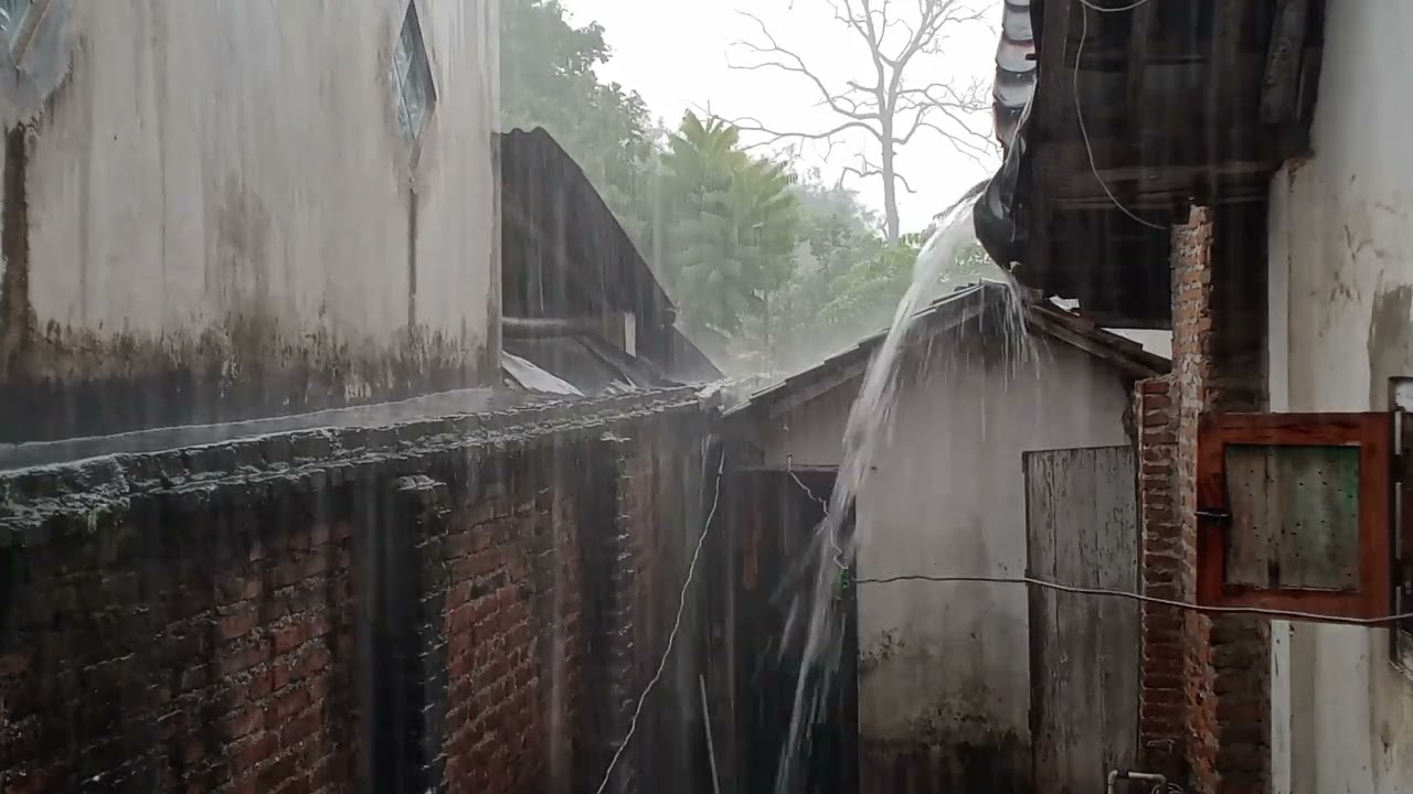 Rain on the 85th day