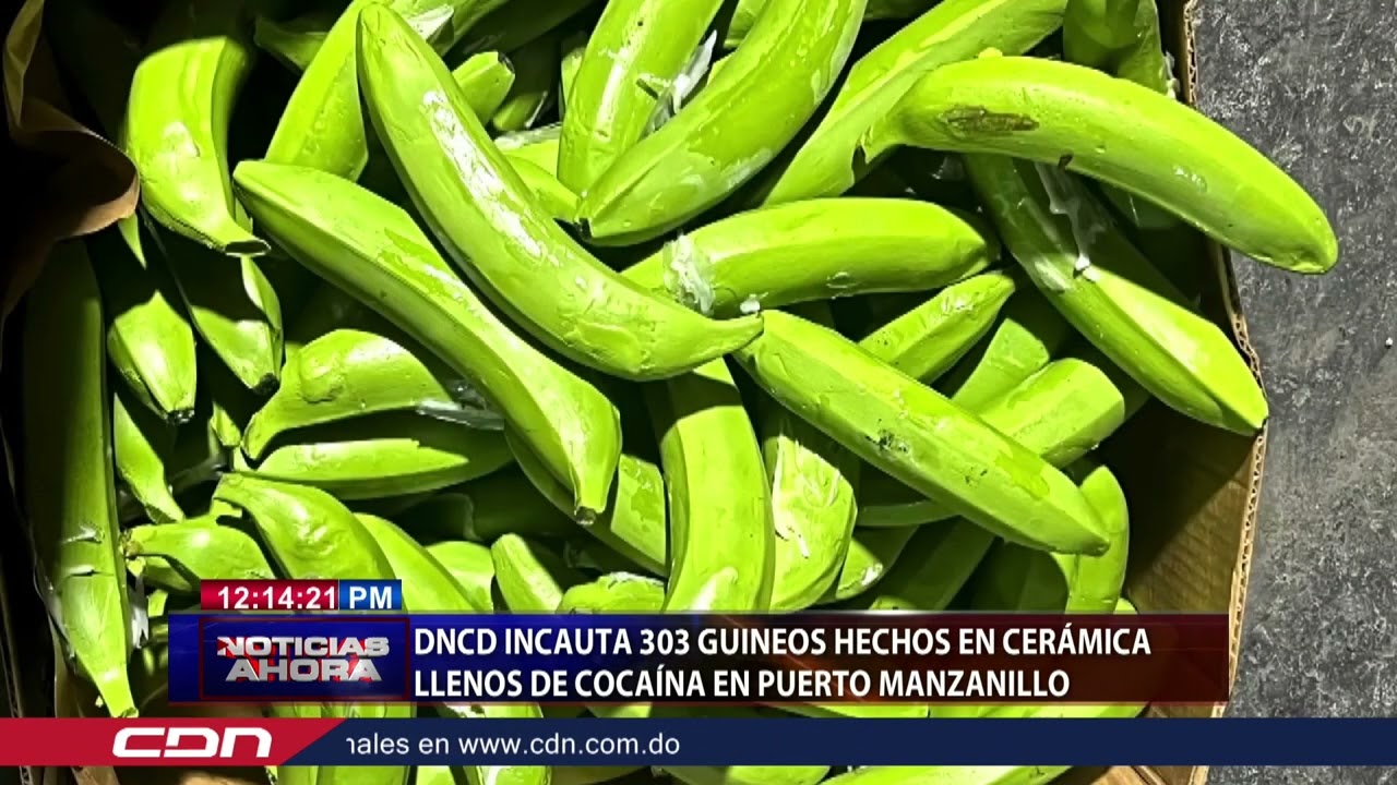 DNCD incauta 303 guineos hechos en cerámica llenos de cocaína en Puerto Manzanillo