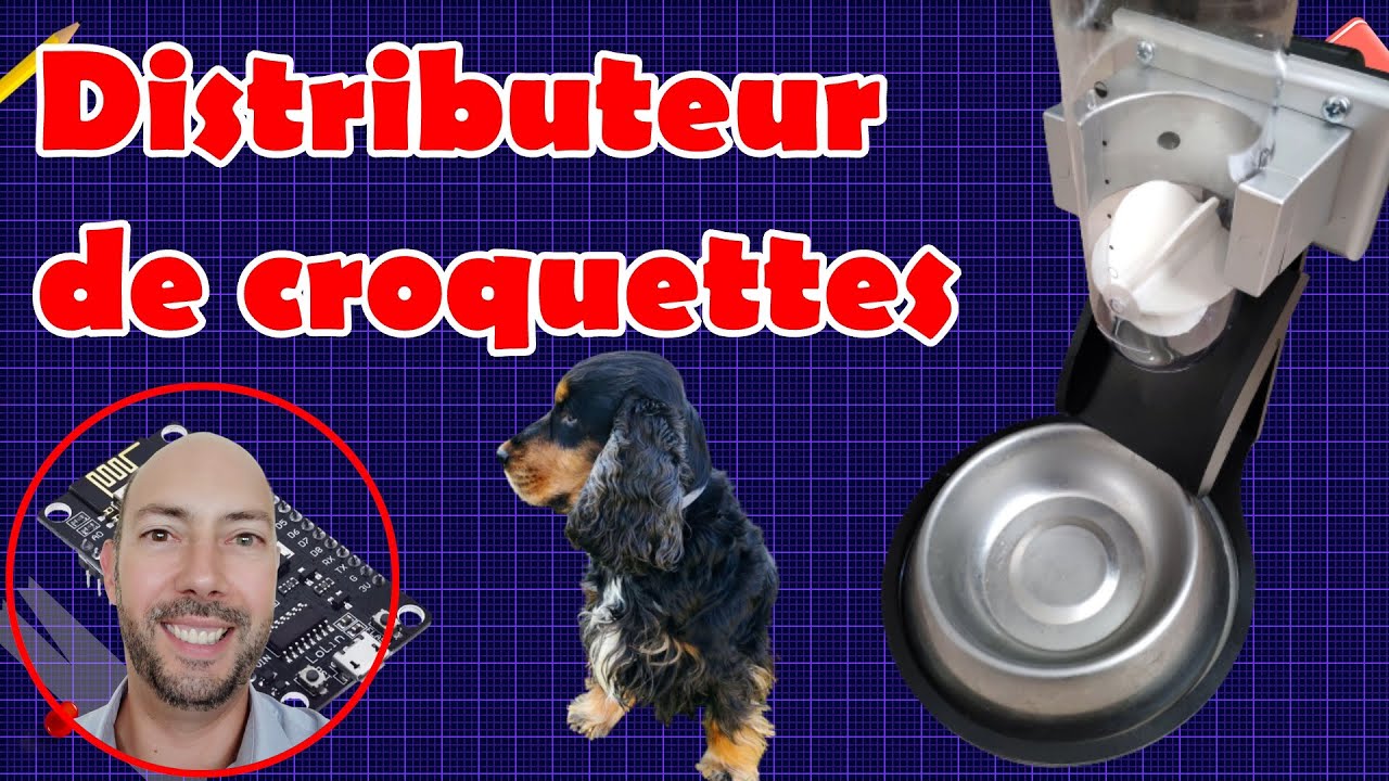 Distributeur de croquettes pour animaux - Microcontrôleur et moteurs pas à pas (Stepper)