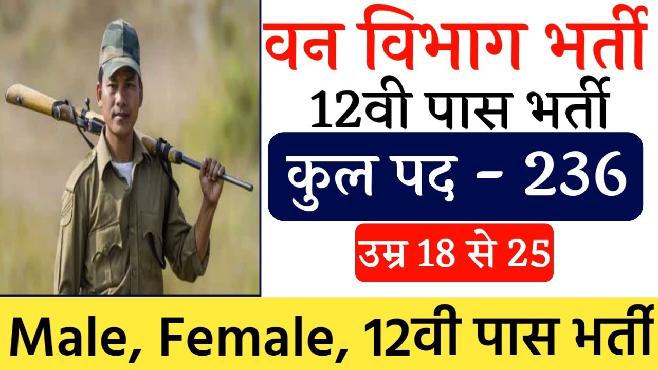 बिहार वन विभाग भर्ती | bihar vacancy 2020 | bihar job vacancy 2020 | bihar govt job vacancy 2020