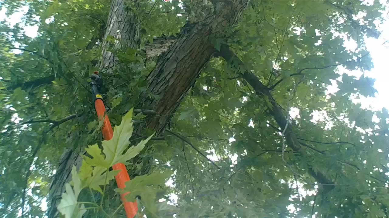 Echo PPT-2620 Pruning Overhang tree limb's. Pt-2