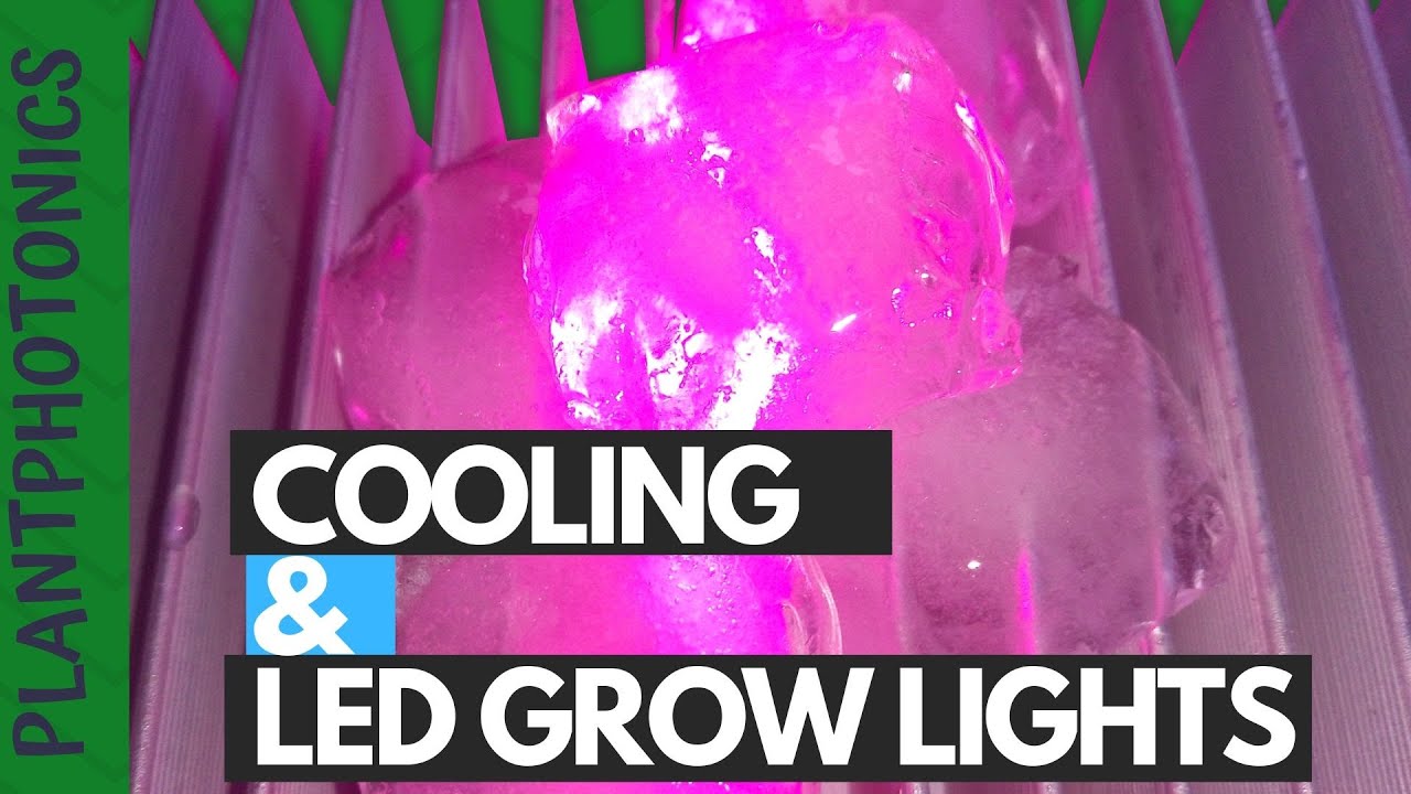 Cooling and Led Grow Lights