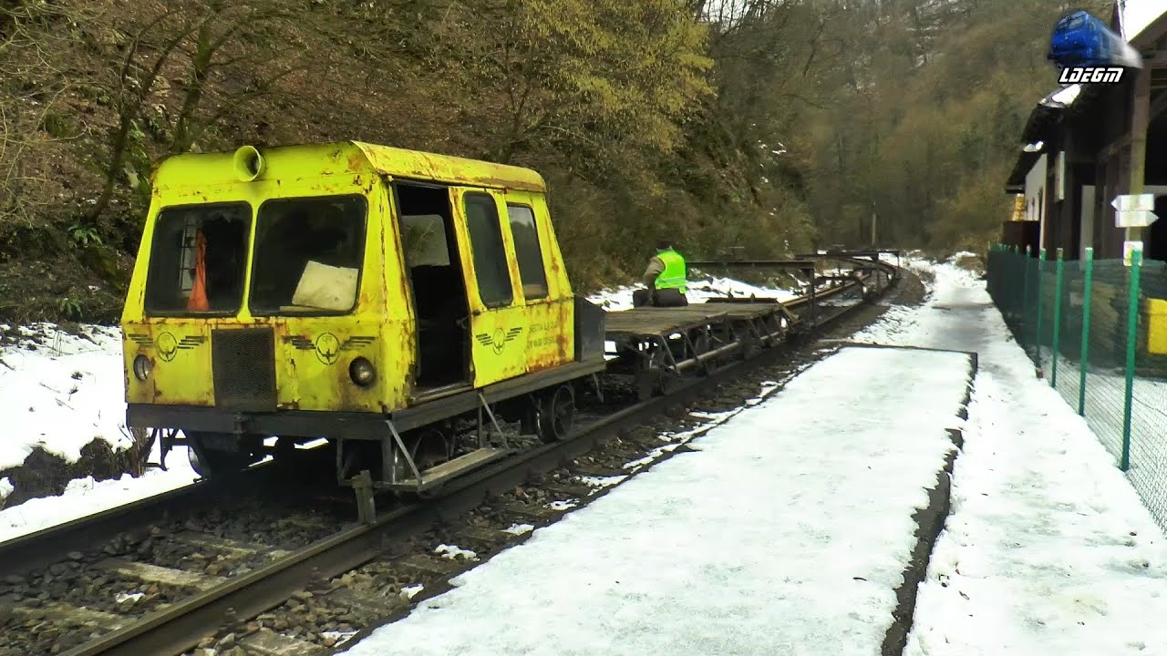 Trenuri în Defileul Crișului Repede 🚂🚆 Trains in Crișul Repede`s Canyon - 08 February 2022