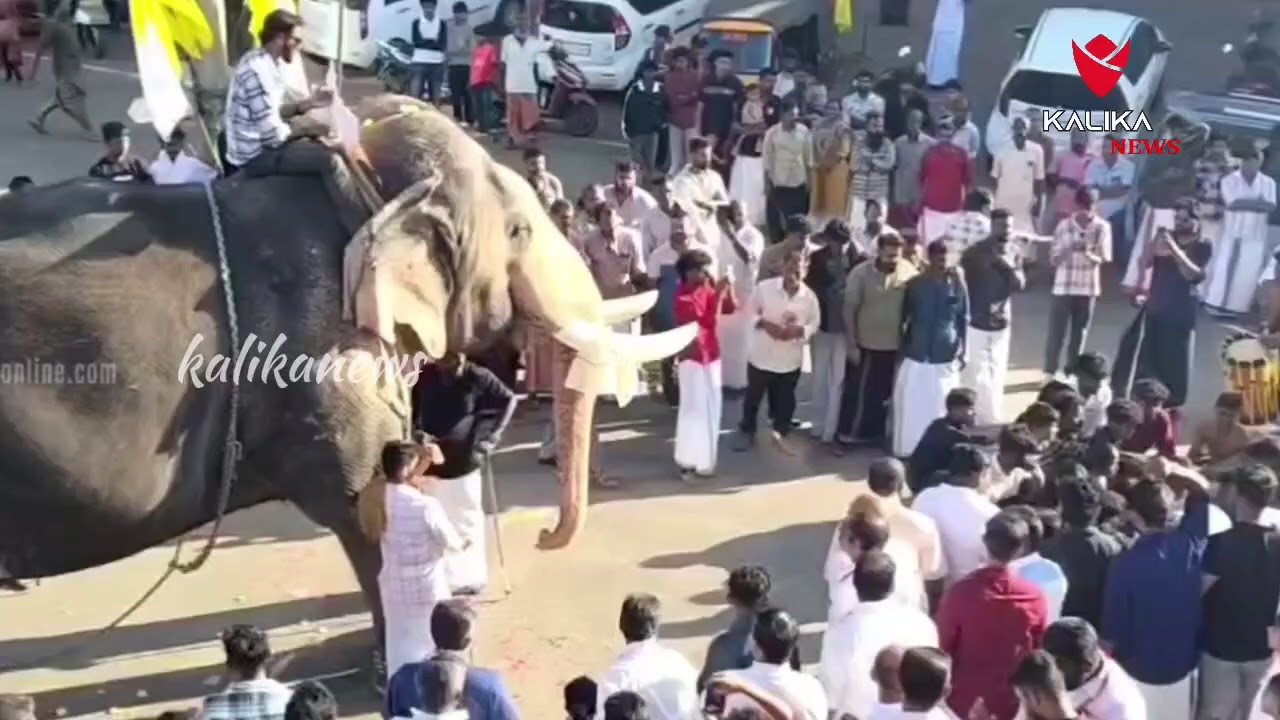 ഇടുക്കിയിൽ ഇരട്ടയറിൽ ഉത്സവത്തിന് കൊണ്ടു വന്ന ആനയെ ക്രിസ്ത്യൻ പള്ളി കമ്മിറ്റി സ്വികരിക്കുന്ന കാഴ്ചാ