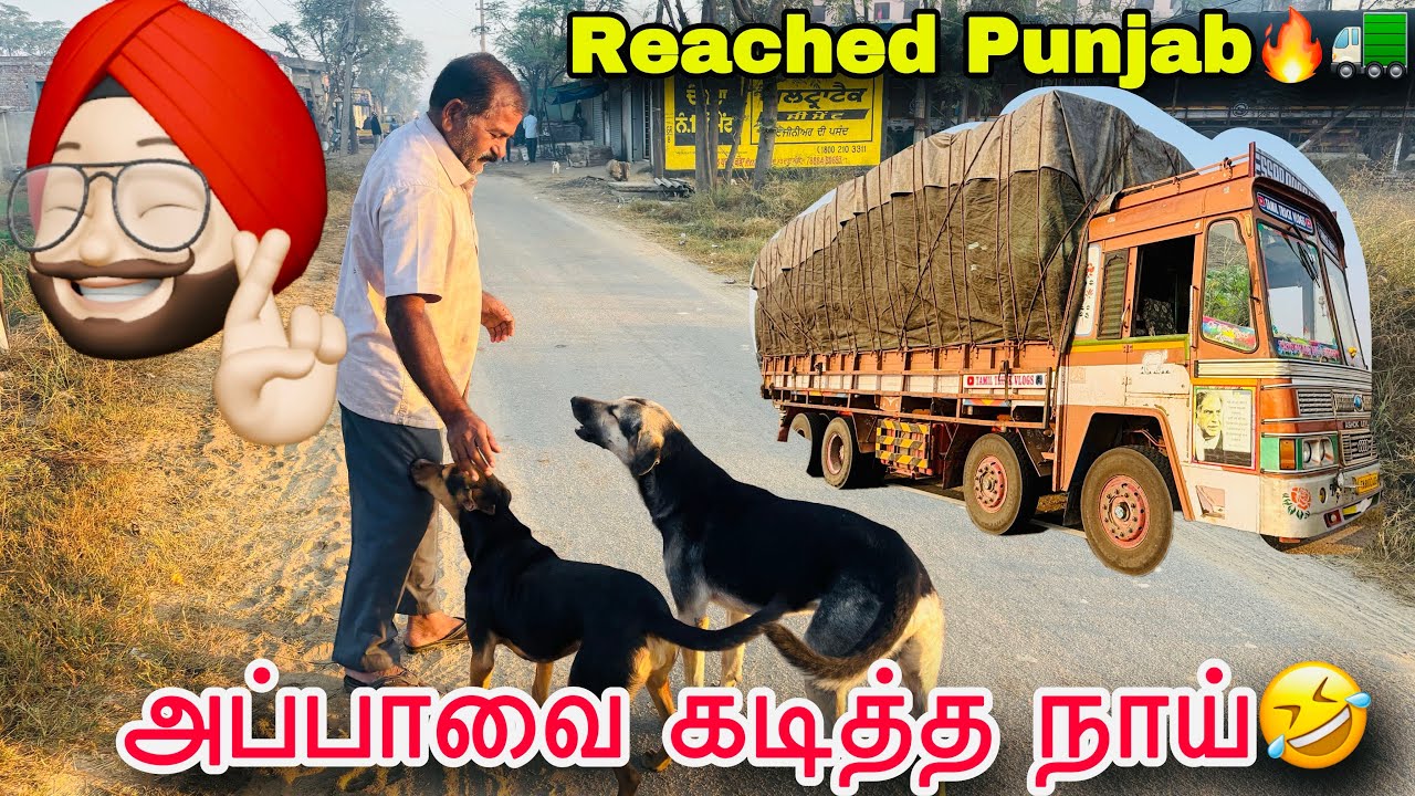 Punjab Trip-4❤️🚛ராஜஸ்தான் பாலைவனம்🥹ஹரியானா சந்திராபழம்🔥பஞ்சாப் குளிர்😂ஒரே ஜாலிதாங்க😘🚚