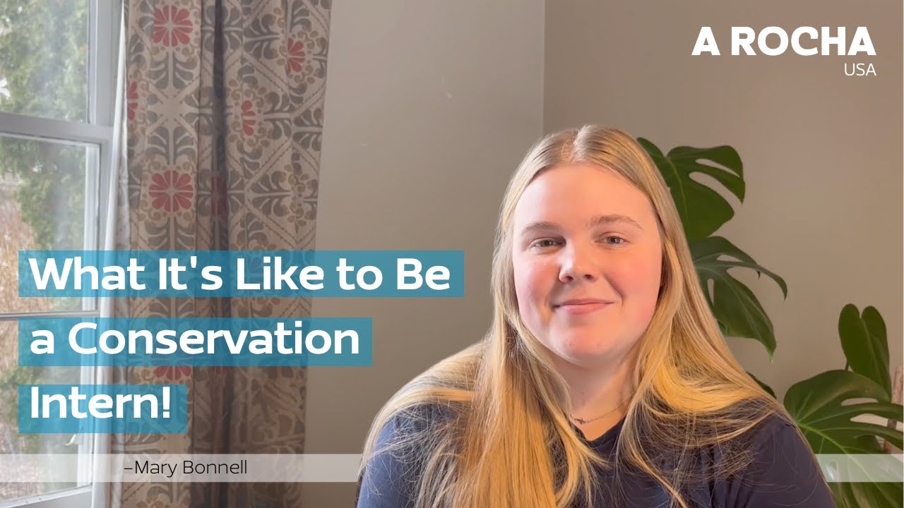 Inside the A Rocha USA Internship - Mary Bonnell