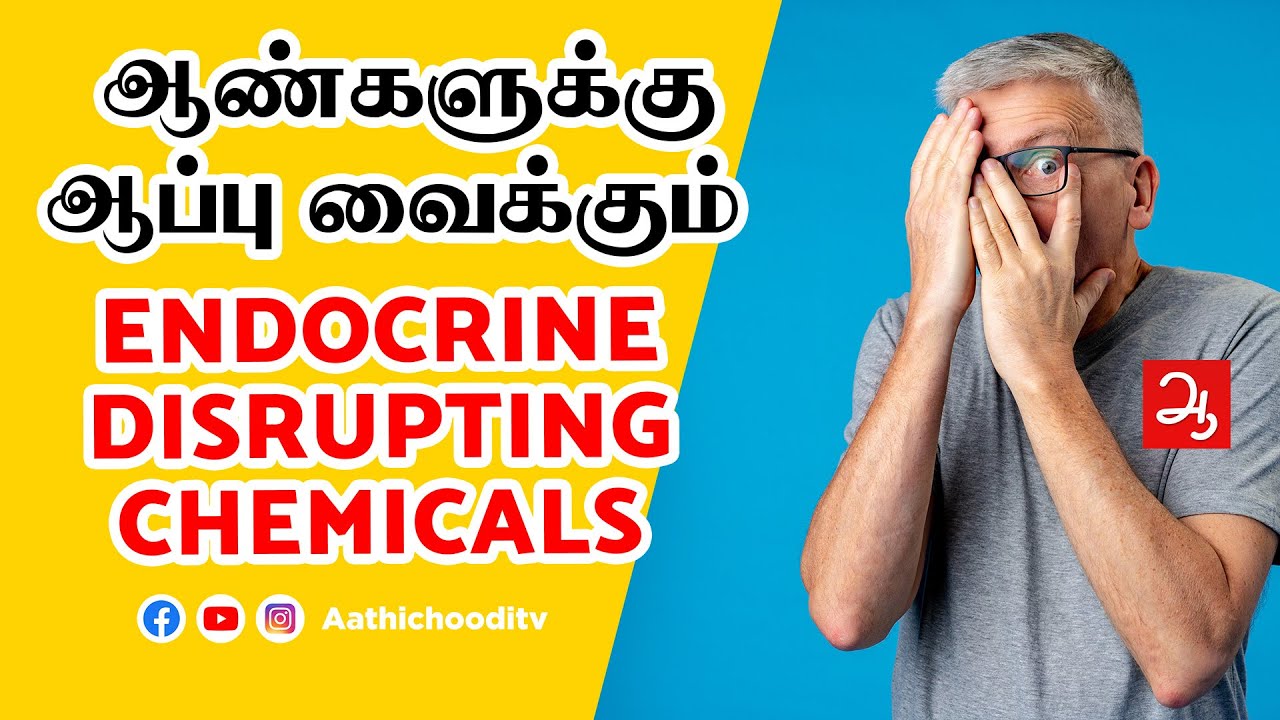 மனித இனத்தை அழிக்கும் Endocrine Disrupting Chemicals | Endocrine disruptors | EDCs