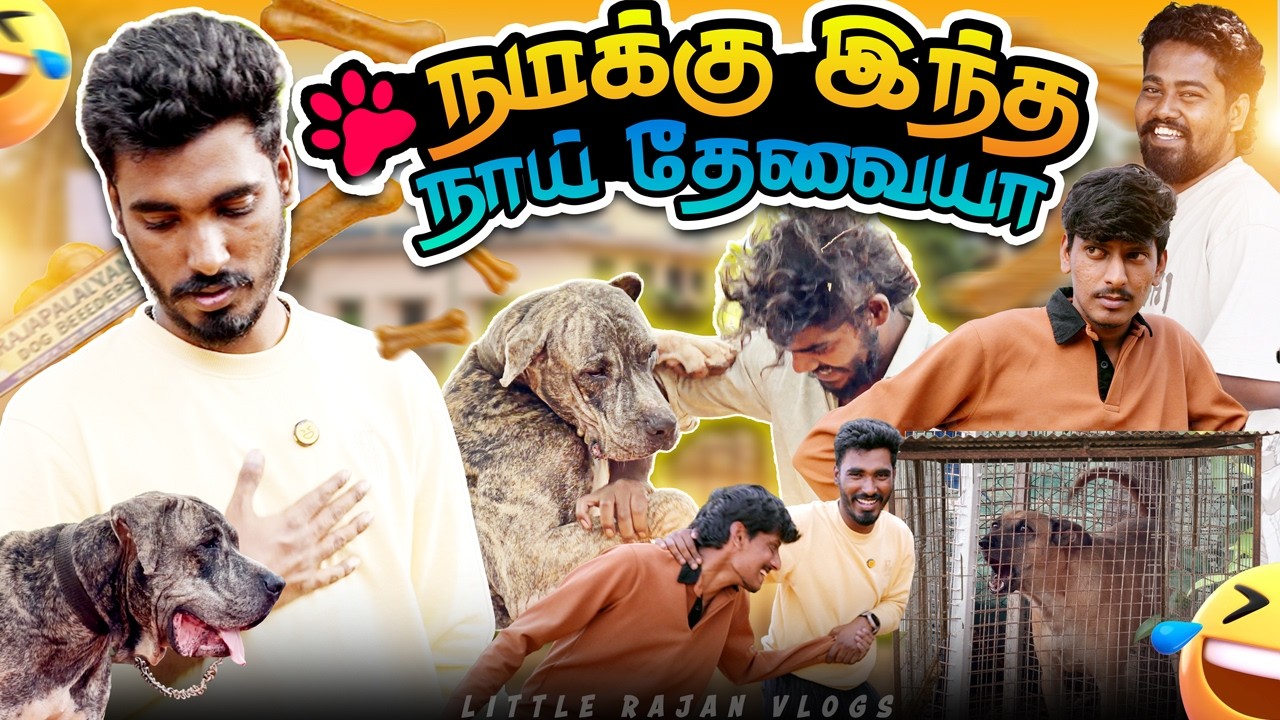 எனக்கு மட்டும் தான் இப்படி நடக்குதா 🐾🦮 | Dog Series | Ep-03 | Little Rajan Vlogs