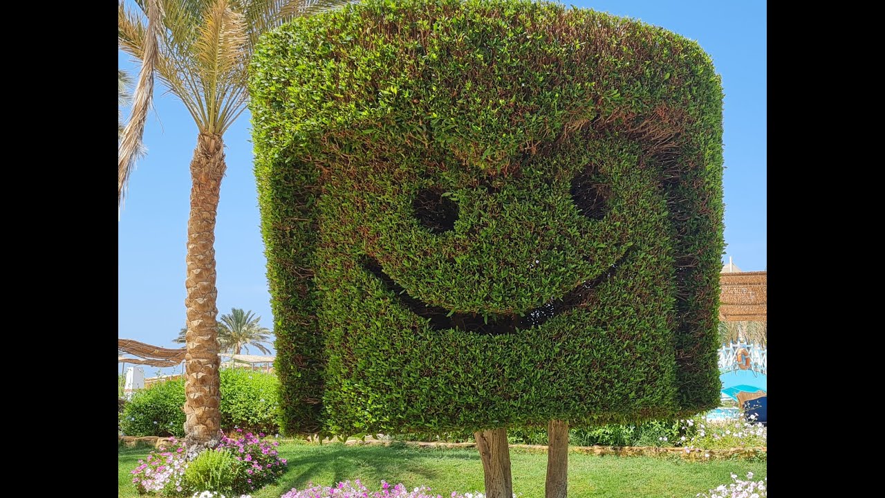 Malikia Resort Abu Dabbab - Marsa Alam - Egitto