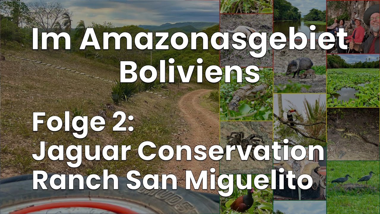 Im Amazonasgebiet Boliviens - Folge 2: Jaguar Conservation Ranch San Miguelito