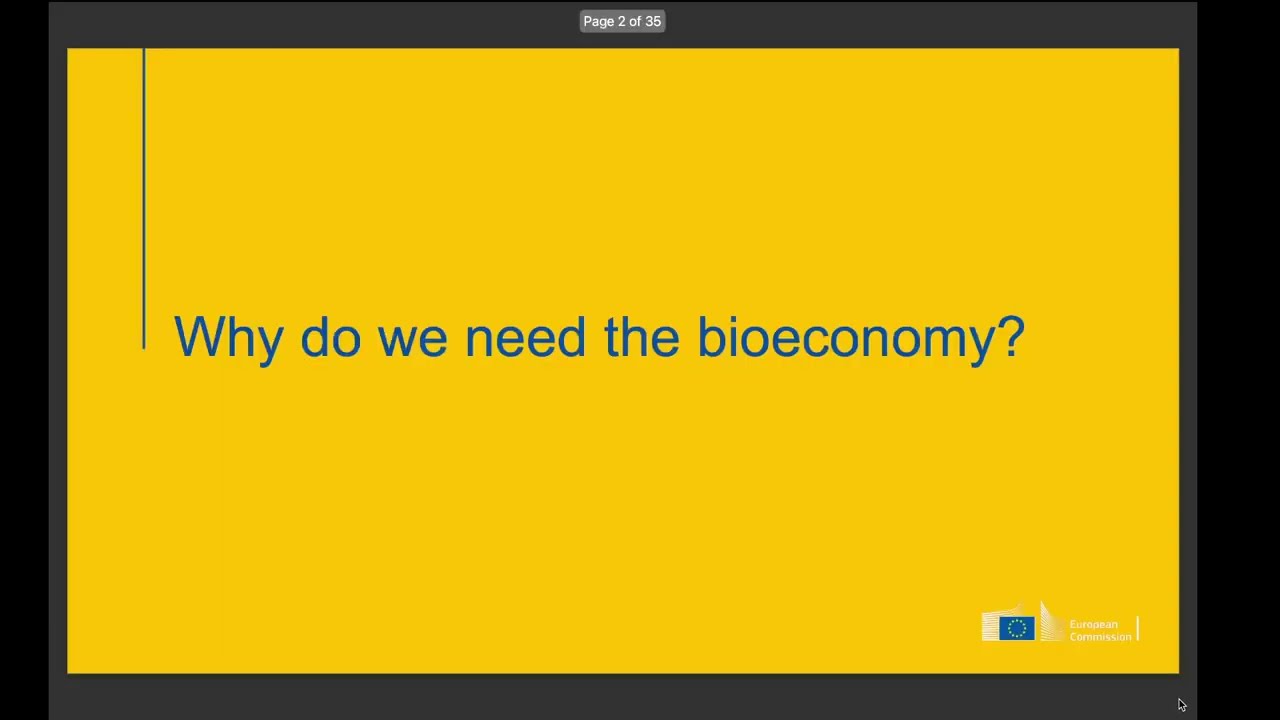 The Bioeconomy