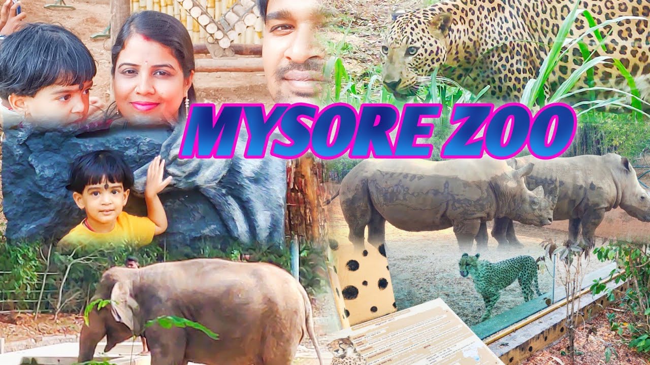 Mysore zoo | Mysore chidiaghar | Most visited places in Mysore