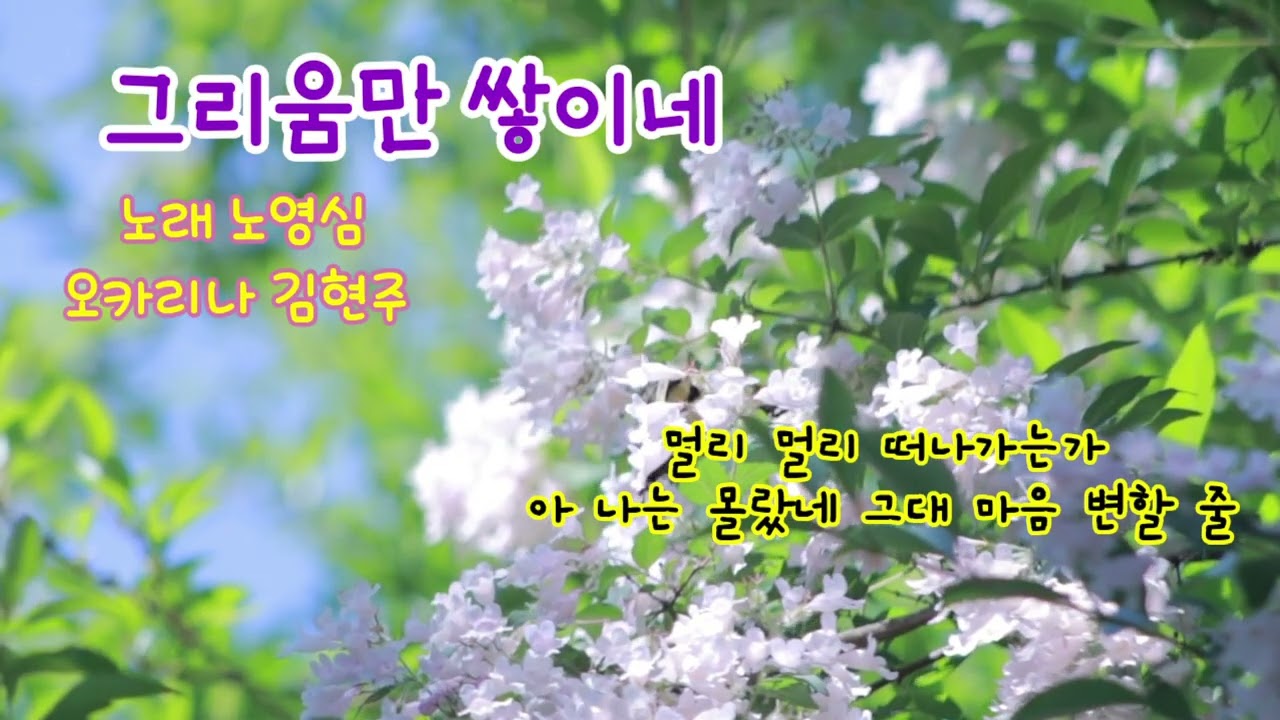 그리움만 쌓이네 #노영심 #오카리나 연주 #김현주 