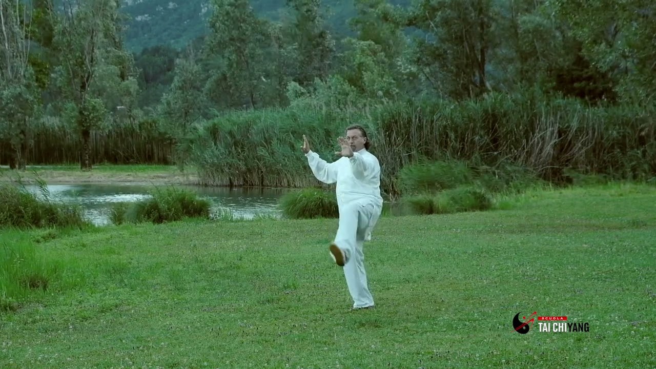 Sequenza lunga di taijiquan stile Yang eseguita  @MarioAntoldi  video del 2017