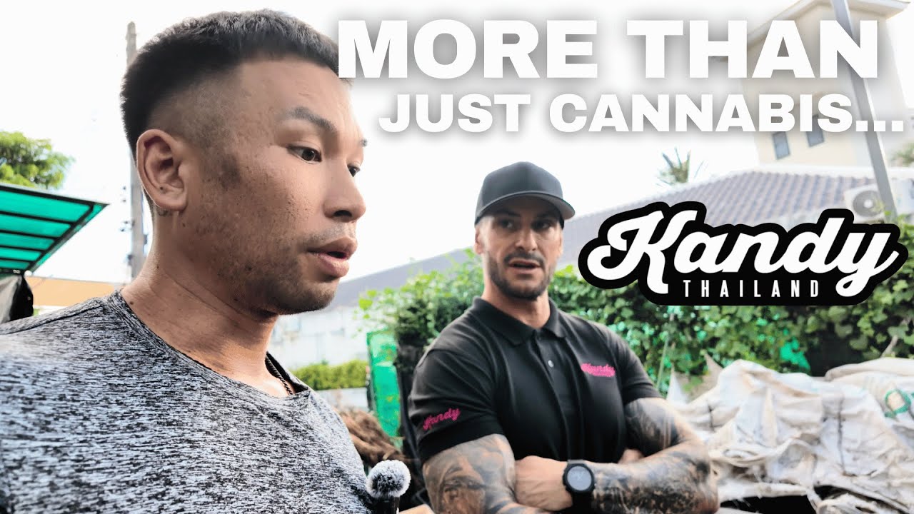 BTS Tour of Kandy Thailand &ndash; Strains, Culture & Future Plans  | Phuket Vlog