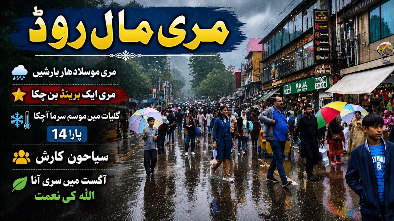 Murree Today Update / Nathia Gali Today Update #video #viral