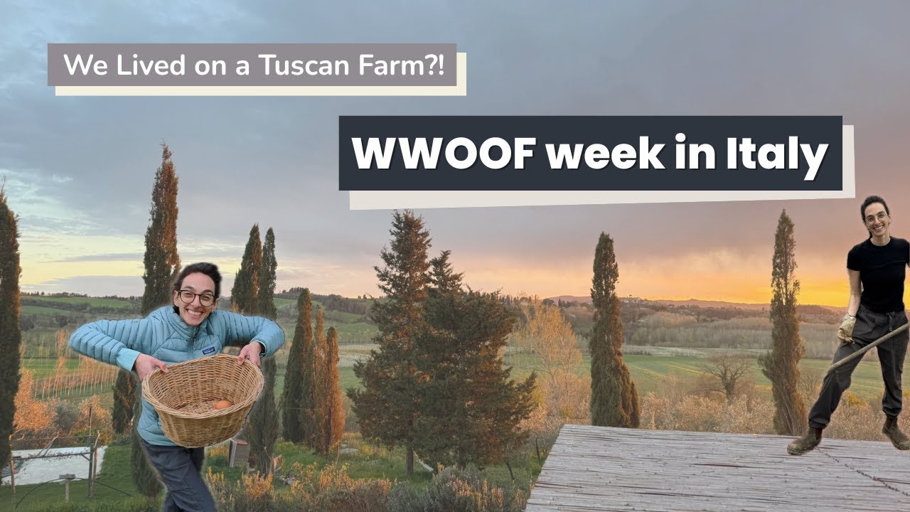 I left corporate to live on a Tuscan Farm | WWOOF Experience in Italy
