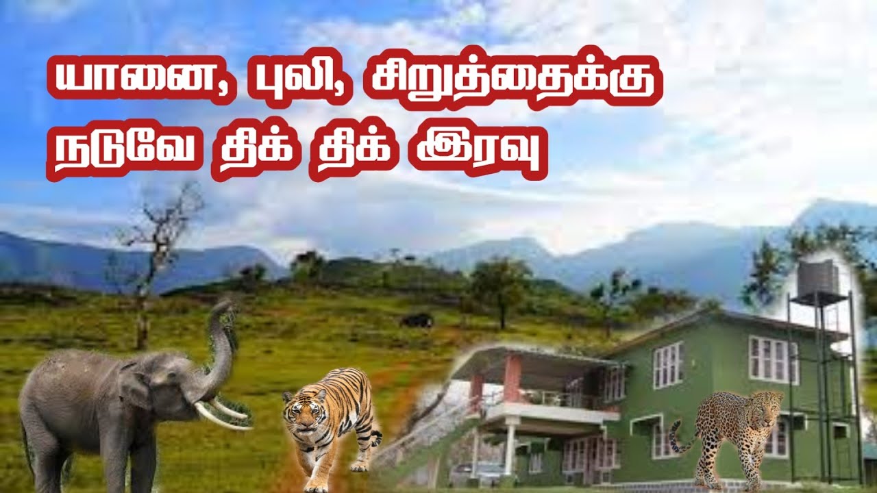 Dangerous Mudumalai Forest Night Stay -. Part 1 | Abhayaranyam Guest House | Jolly Trip