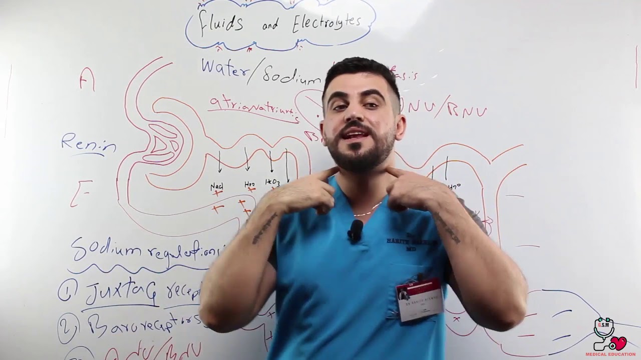 Water Sodium Homeostasis 2 by: Dr Harith Alawadi
