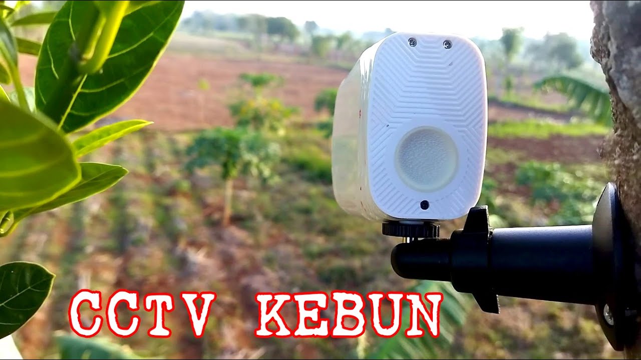 Cctv kebun bisa merekam full tanpa internet tanpa kabel