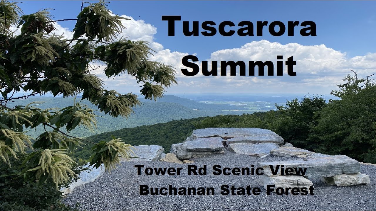 Tower Road Scenic View Tuscarora Summit Buchanan State Forest
