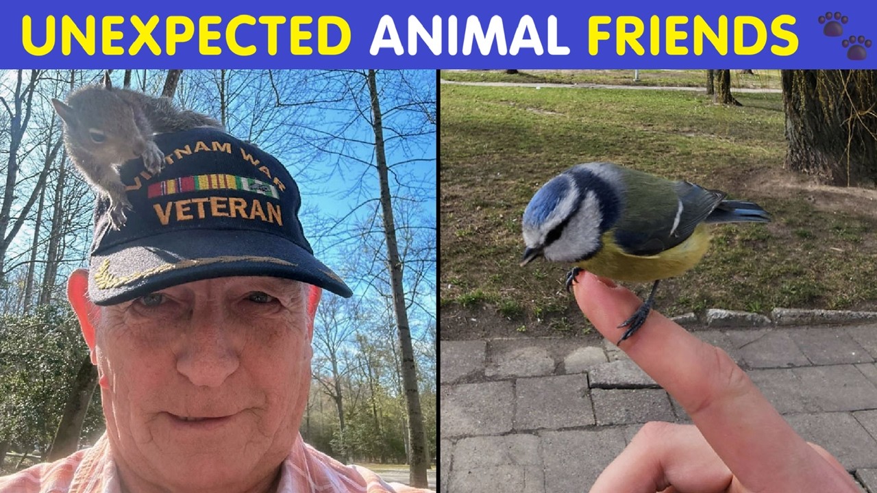 Heartwarming Wildlife Encounters Caught On Camera 🐾