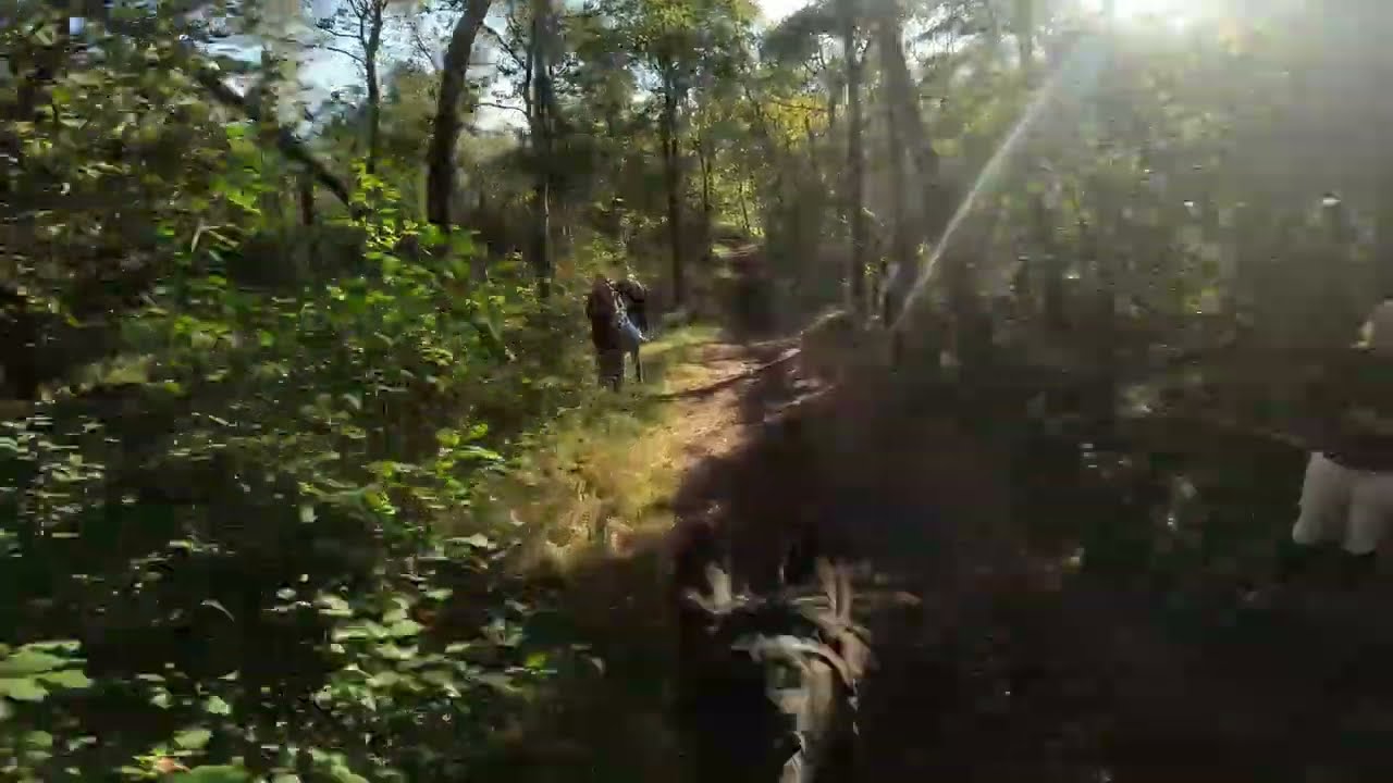 sgw ysselstyn B 2024