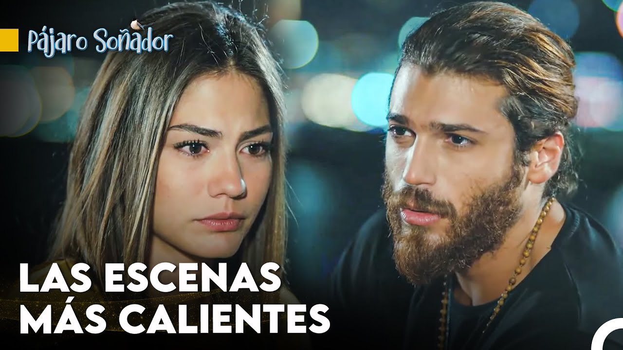 Cinco Horas De Viaje Hacia El Amor - Pájaro Soñador