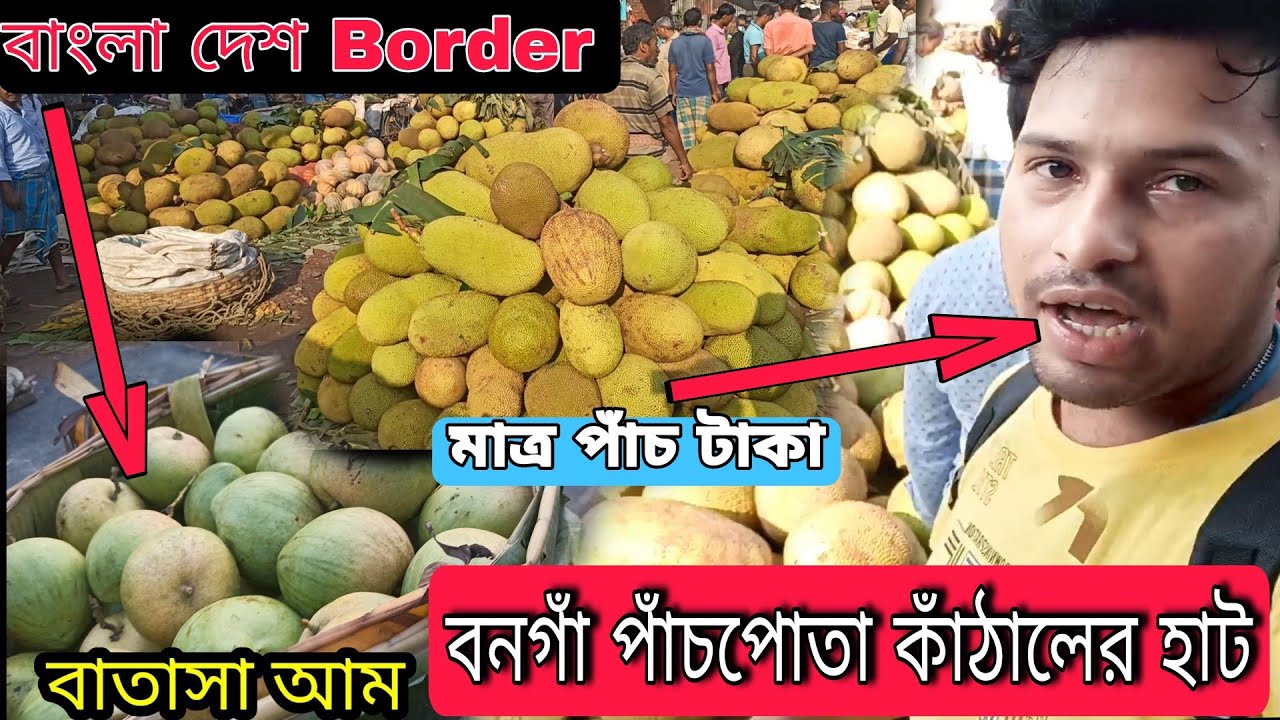 বনগাঁ পাঁচপোতা কাঁঠালের হাট | Bangaon Panchpota Fruit Market | Deganga bera Champa market